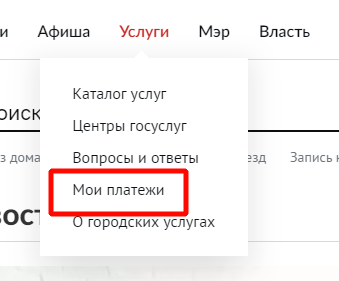 Графический интерфейс приложения на сайте https pgu mos ru